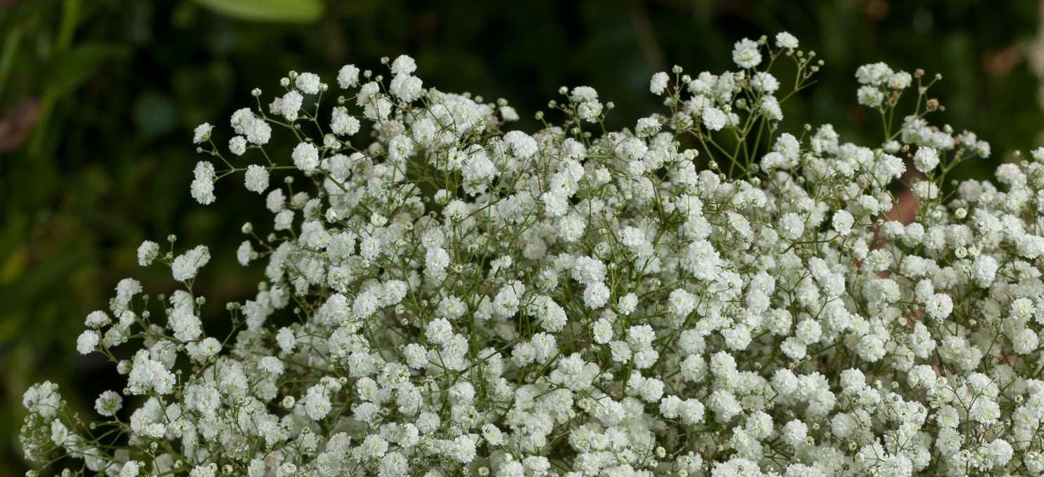 1696754334323598.jpg DG-10225-scaled-e1633000260945.jpg